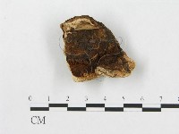 登錄號:F0007239藏品圖，第3張