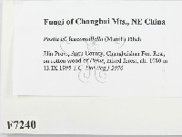 登錄號:F0007240藏品圖，第2張