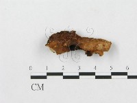 登錄號:F0007240藏品圖，第3張