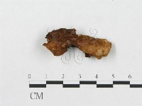 登錄號:F0007240藏品圖，第1張