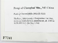 登錄號:F0007241藏品圖，第2張