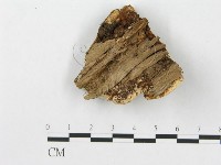 登錄號:F0007241藏品圖，第1張