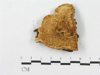 登錄號:F0007241藏品圖，第3張