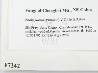 登錄號:F0007242藏品圖，第2張