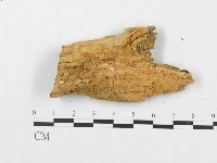 登錄號:F0007242藏品圖，第3張