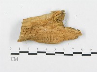 登錄號:F0007242藏品圖，第4張