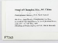 登錄號:F0007243藏品圖，第2張