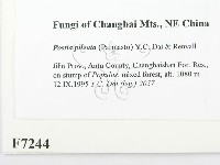 登錄號:F0007244藏品圖，第2張