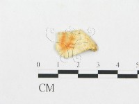 登錄號:F0007244藏品圖，第3張