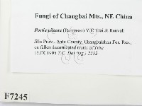 登錄號:F0007245藏品圖，第2張