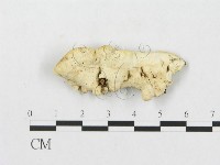 登錄號:F0007245藏品圖，第3張