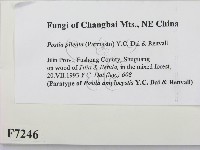 登錄號:F0007246藏品圖，第2張