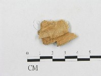 登錄號:F0007246藏品圖，第3張