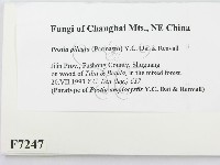 登錄號:F0007247藏品圖，第2張