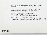 登錄號:F0007248藏品圖，第2張