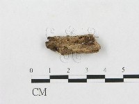 登錄號:F0007248藏品圖，第1張