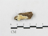 登錄號:F0007248藏品圖，第3張