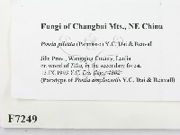 登錄號:F0007249藏品圖，第2張