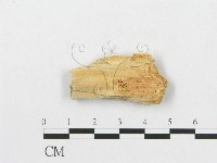 登錄號:F0007249藏品圖，第3張