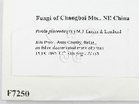 登錄號:F0007250藏品圖，第2張