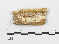 登錄號:F0007250藏品圖，第1張