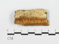 登錄號:F0007250藏品圖，第3張