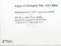 登錄號:F0007251藏品圖，第2張