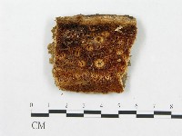 登錄號:F0007251藏品圖，第1張