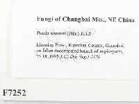 登錄號:F0007252藏品圖，第2張