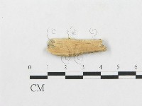 登錄號:F0007252藏品圖，第3張