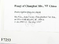 登錄號:F0007253藏品圖，第2張