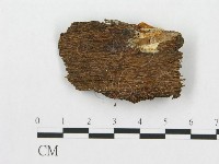 登錄號:F0007253藏品圖，第1張