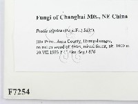 登錄號:F0007254藏品圖，第2張