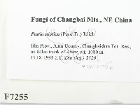 登錄號:F0007255藏品圖，第2張