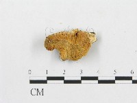 登錄號:F0007255藏品圖，第1張