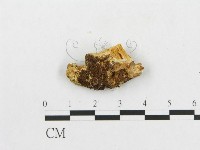 登錄號:F0007255藏品圖，第3張