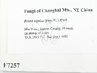 登錄號:F0007257藏品圖，第2張