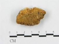 登錄號:F0007257藏品圖，第3張