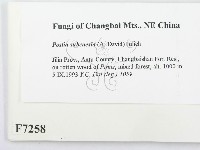 登錄號:F0007258藏品圖，第2張