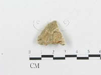 登錄號:F0007258藏品圖，第3張