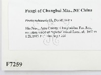 登錄號:F0007259藏品圖，第2張