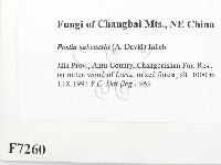 登錄號:F0007260藏品圖，第2張