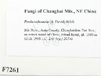 登錄號:F0007261藏品圖，第2張