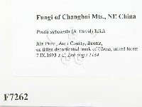 登錄號:F0007262藏品圖，第2張