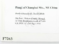 登錄號:F0007263藏品圖，第2張