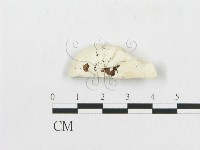 登錄號:F0007263藏品圖，第3張