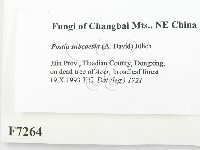 登錄號:F0007264藏品圖，第2張
