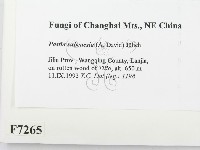 登錄號:F0007265藏品圖，第2張