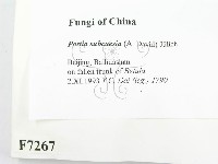 登錄號:F0007267藏品圖，第2張