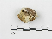 登錄號:F0007267藏品圖，第1張